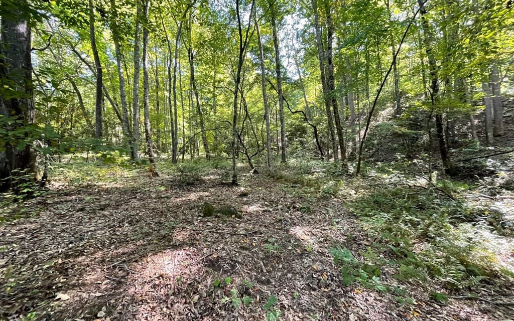 Lot 22 High Meadows, Hayesville NC 28904 - Photo