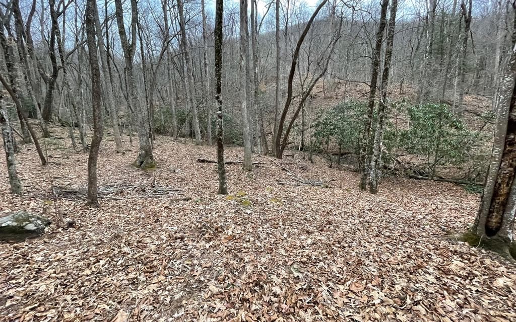 Lot 22 High Meadows, Hayesville NC 28904 - Photo