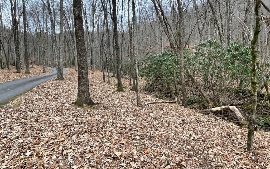 Lot 22 High Meadows, Hayesville NC 28904 - Photo