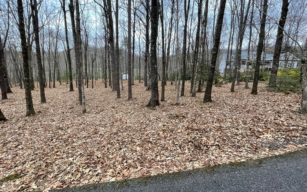Lot 22 High Meadows, Hayesville NC 28904 - Photo