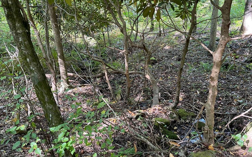 Lot 22 High Meadows, Hayesville NC 28904 - Photo