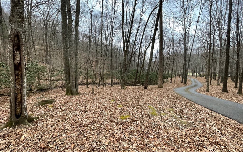 Lot 22 High Meadows, Hayesville NC 28904 - Photo