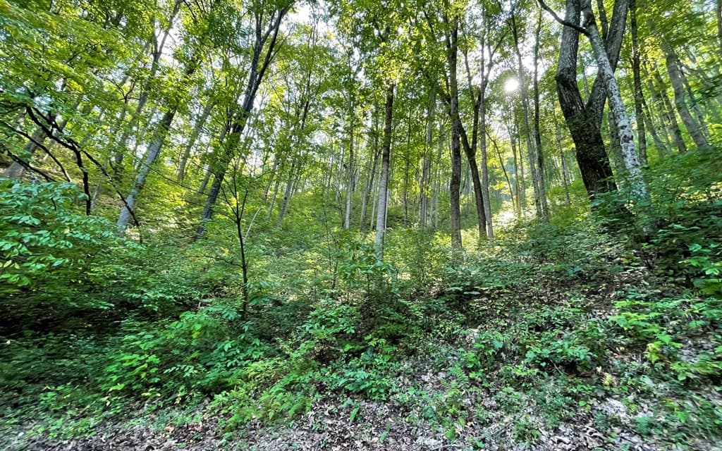 Lot 22 High Meadows, Hayesville NC 28904 - Photo