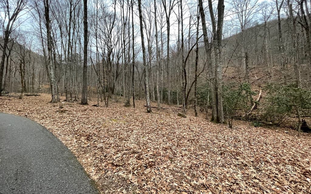 Lot 22 High Meadows, Hayesville NC 28904 - Photo