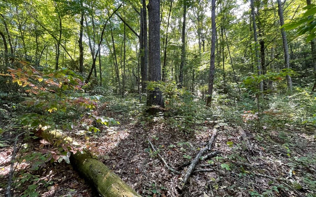 Lot 22 High Meadows, Hayesville NC 28904 - Photo