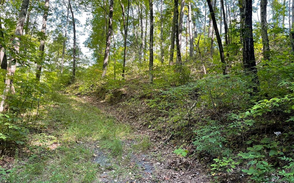 Lot 22 High Meadows, Hayesville NC 28904 - Photo