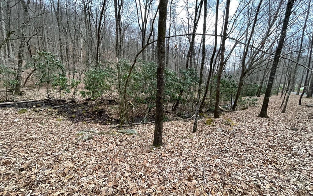 Lot 22 High Meadows, Hayesville NC 28904 - Photo