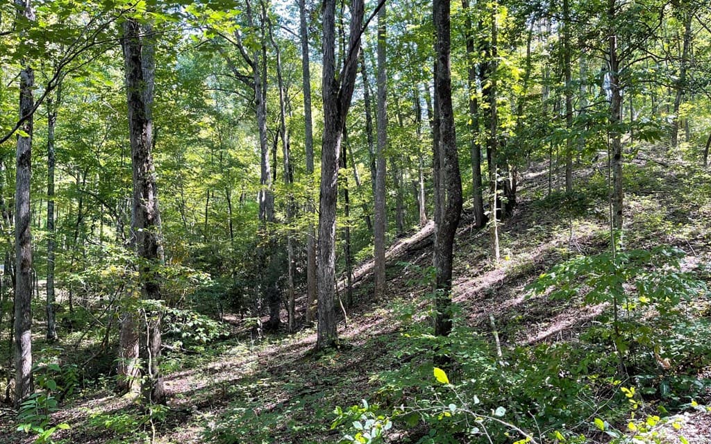 Lot 22 High Meadows, Hayesville NC 28904 - Photo
