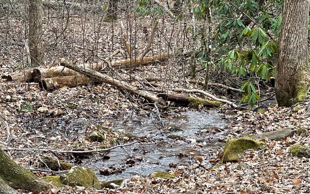 Lot 22 High Meadows, Hayesville NC 28904 - Photo