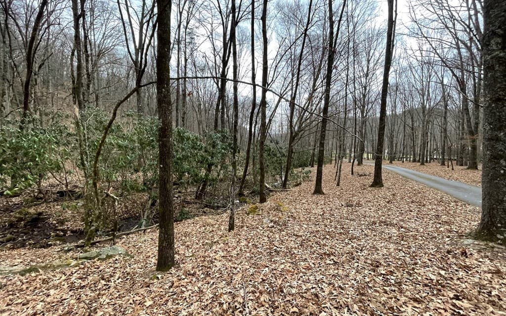 Lot 22 High Meadows, Hayesville NC 28904 - Photo