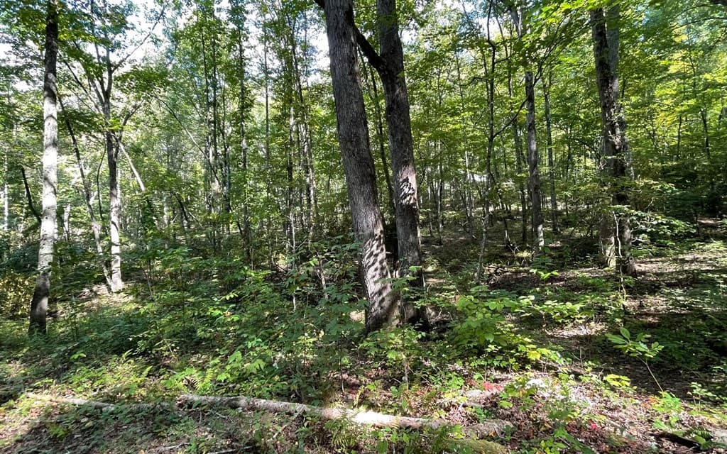 Lot 22 High Meadows, Hayesville NC 28904 - Photo
