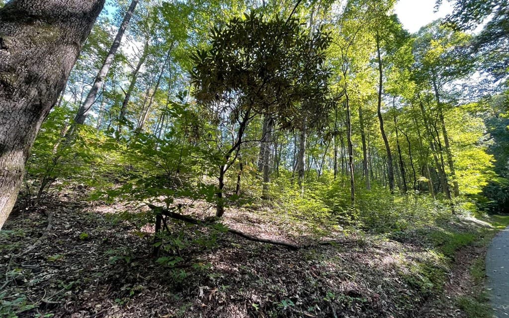 Lot 22 High Meadows, Hayesville NC 28904 - Photo