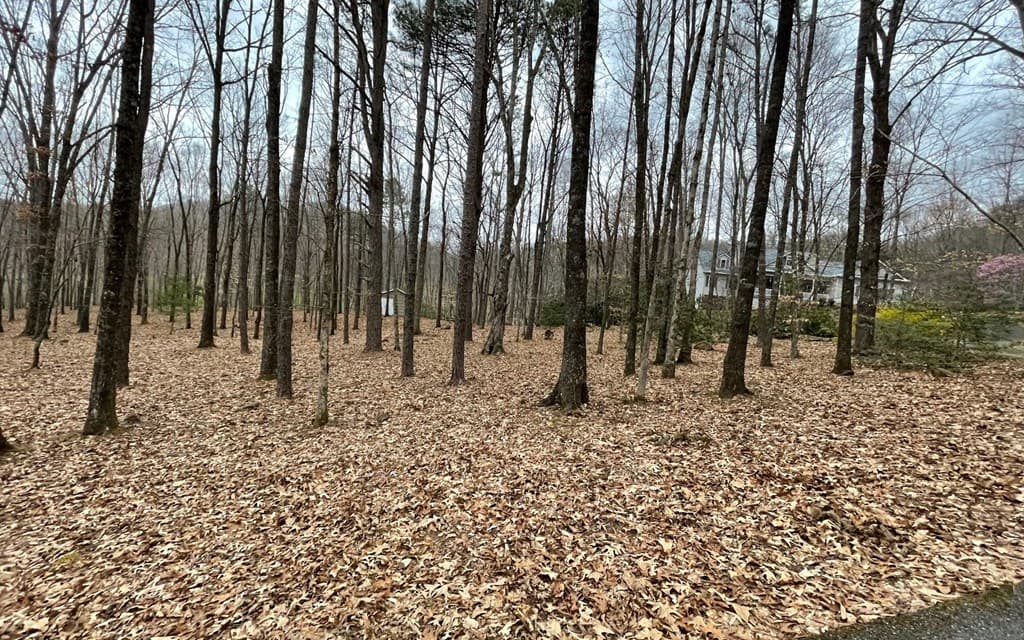 Lot 22 High Meadows, Hayesville NC 28904 - Photo