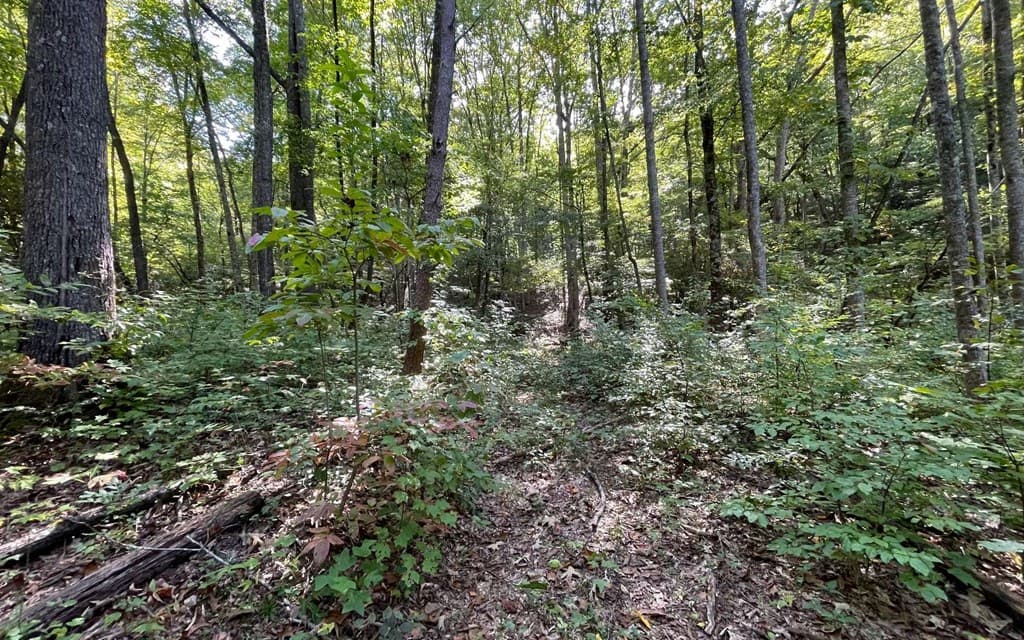 Lot 22 High Meadows, Hayesville NC 28904 - Photo