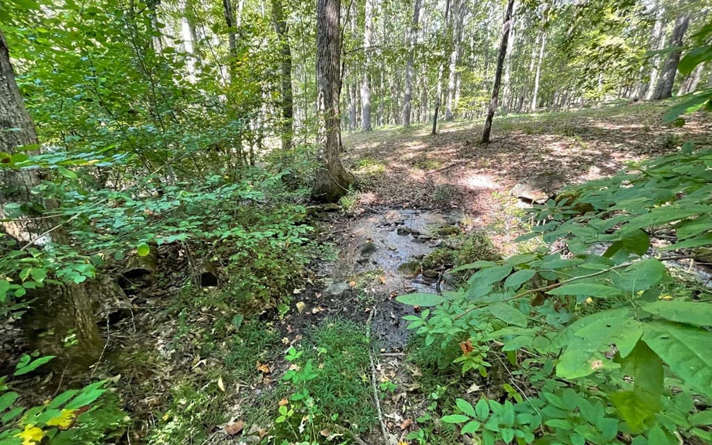 Lot 22 High Meadows, Hayesville NC 28904 - Photo