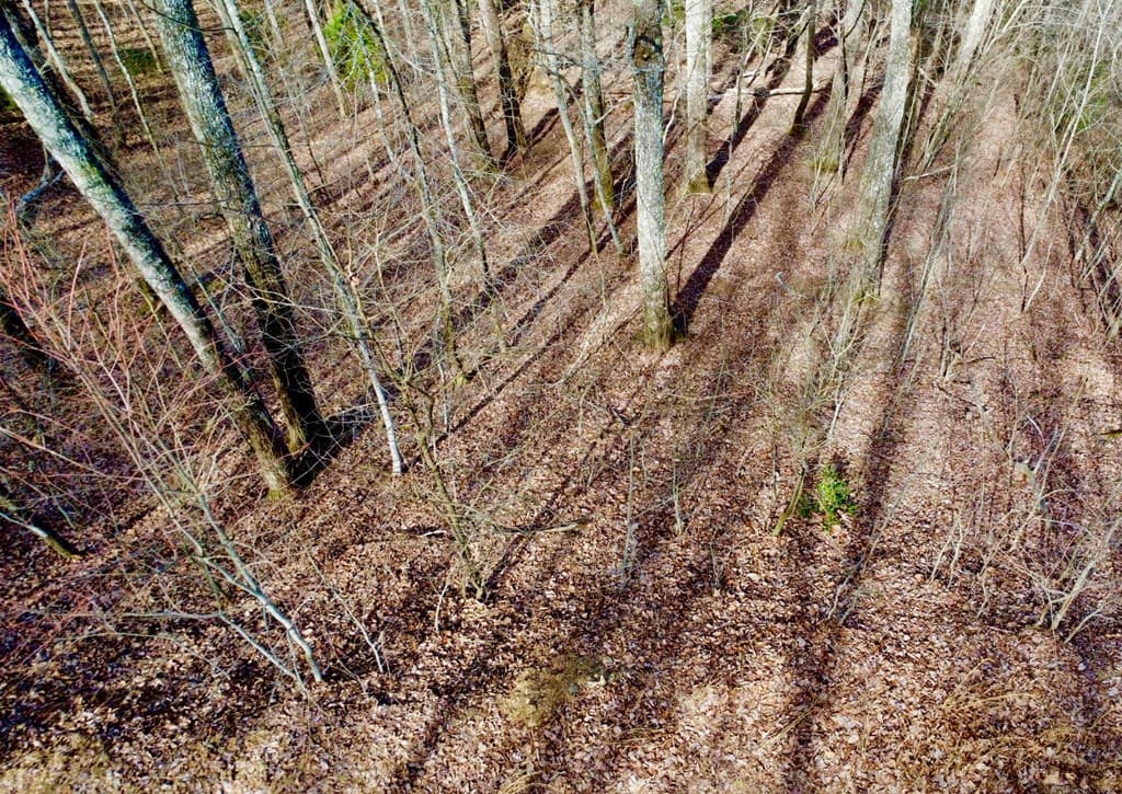 120 Croft Mountain Road, Blairsville GA 30512 - Photo
