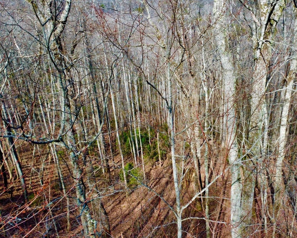 120 Croft Mountain Road, Blairsville GA 30512 - Photo