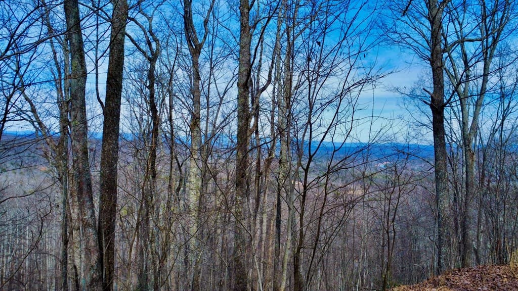 120 Croft Mountain Road, Blairsville GA 30512 - Photo