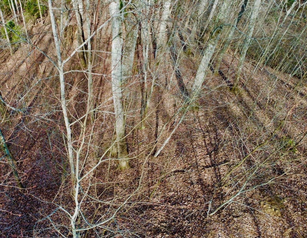 120 Croft Mountain Road, Blairsville GA 30512 - Photo
