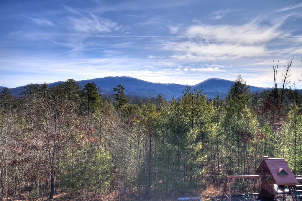 1038 Synacia Drive, Mineral Bluff GA 30559 - Photo