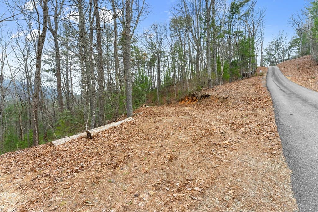 279 Cindy Cove Road, Blairsville GA 30512 - Photo