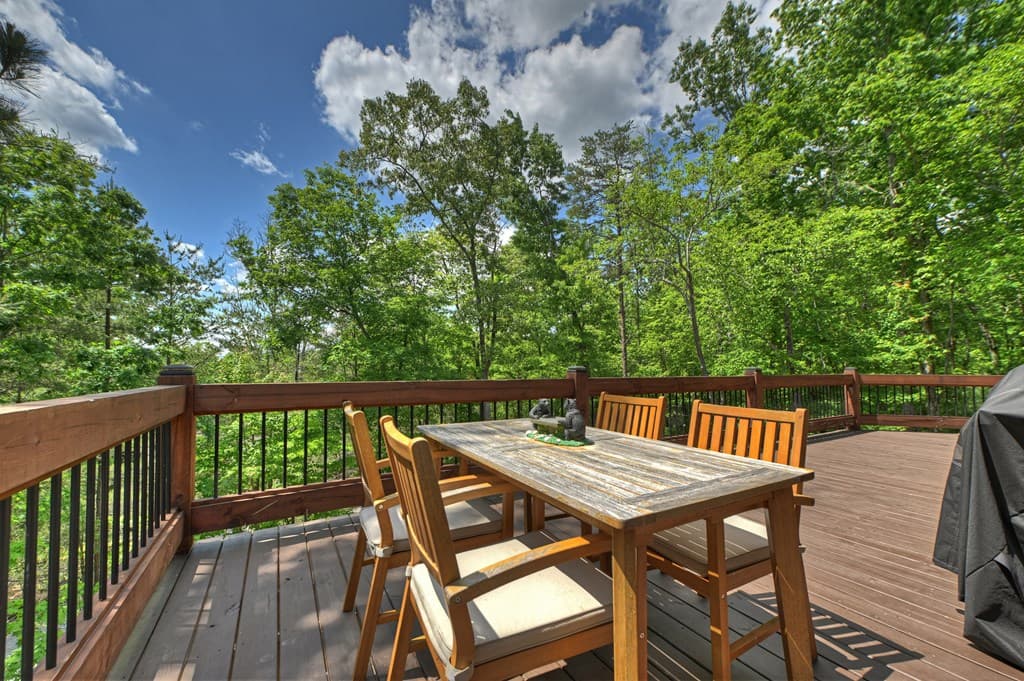 346 Logan Drive, Mineral Bluff GA 30559 - Photo