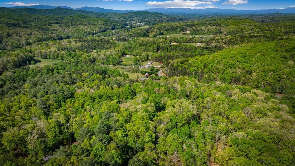 194 Squirrel Chase Drive, Morganton GA 30560 - Photo