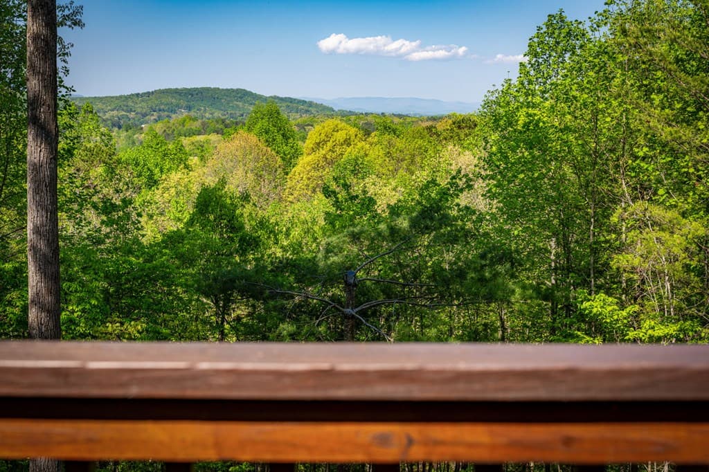 194 Squirrel Chase Drive, Morganton GA 30560 - Photo