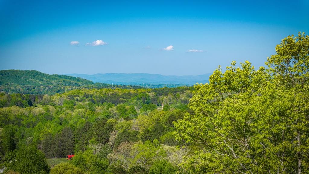 194 Squirrel Chase Drive, Morganton GA 30560 - Photo