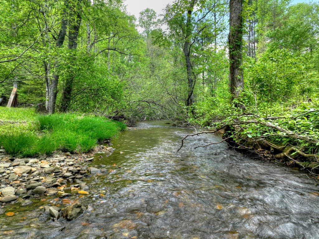 14092 Big Creek Road, Cherry Log GA 30522 - Photo