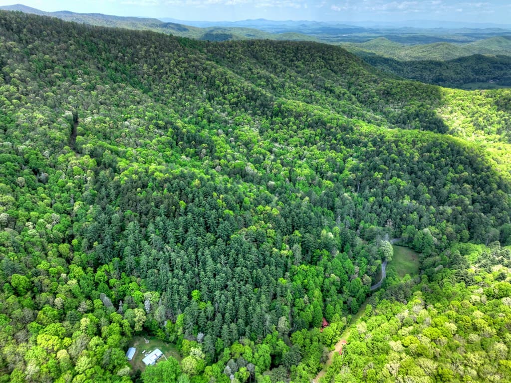 14092 Big Creek Road, Cherry Log GA 30522 - Photo