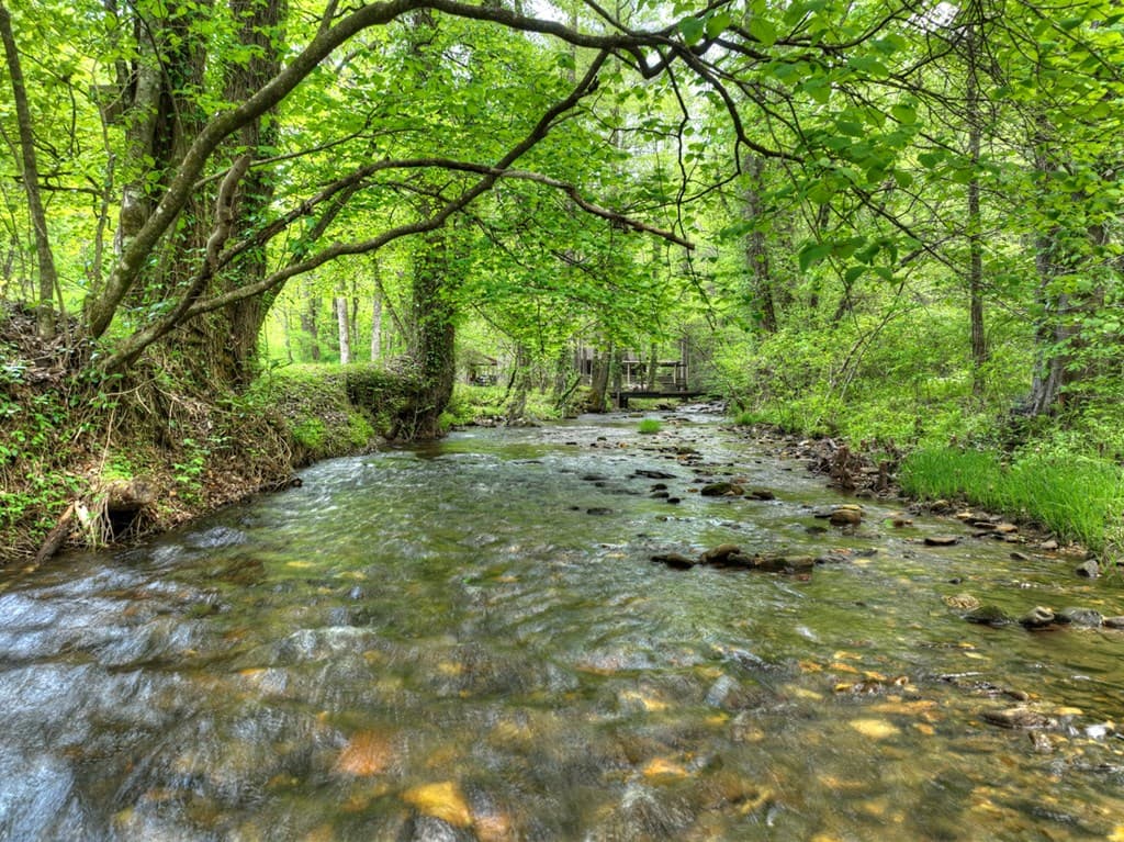 14092 Big Creek Road, Cherry Log GA 30522 - Photo
