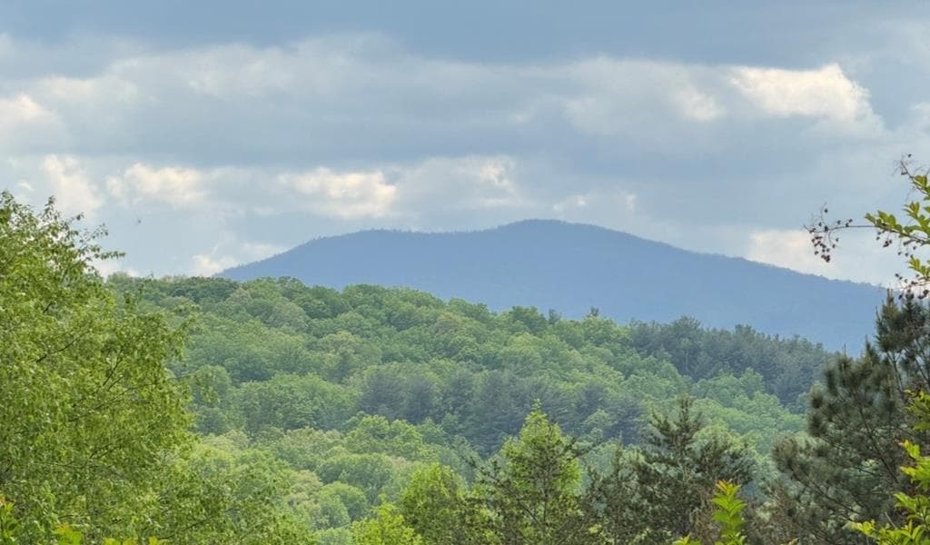 461 Kel Horn Road, Blairsville GA 30512 - Photo