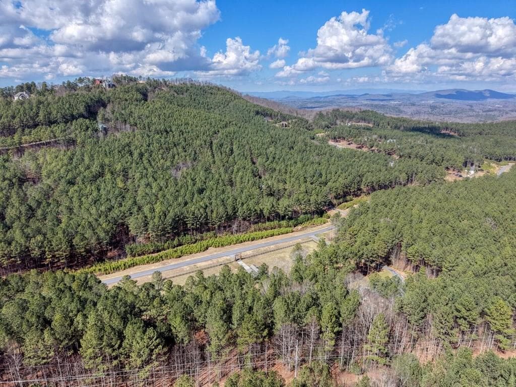 Lot 52 Thirteen Hundred, Blairsville GA 30512 - Photo