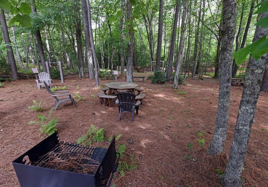 Lot 52 Thirteen Hundred, Blairsville GA 30512 - Photo
