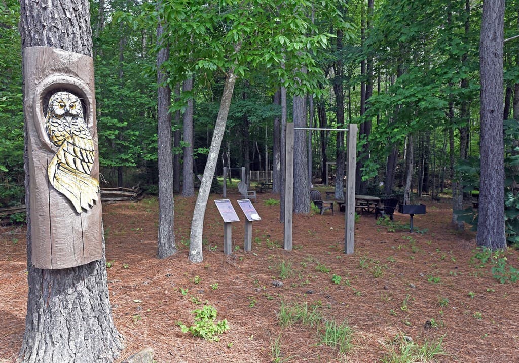 Lot 52 Thirteen Hundred, Blairsville GA 30512 - Photo