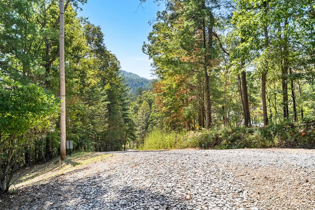 138 Oakwood Trail, Mineral Bluff GA 30559 - Photo