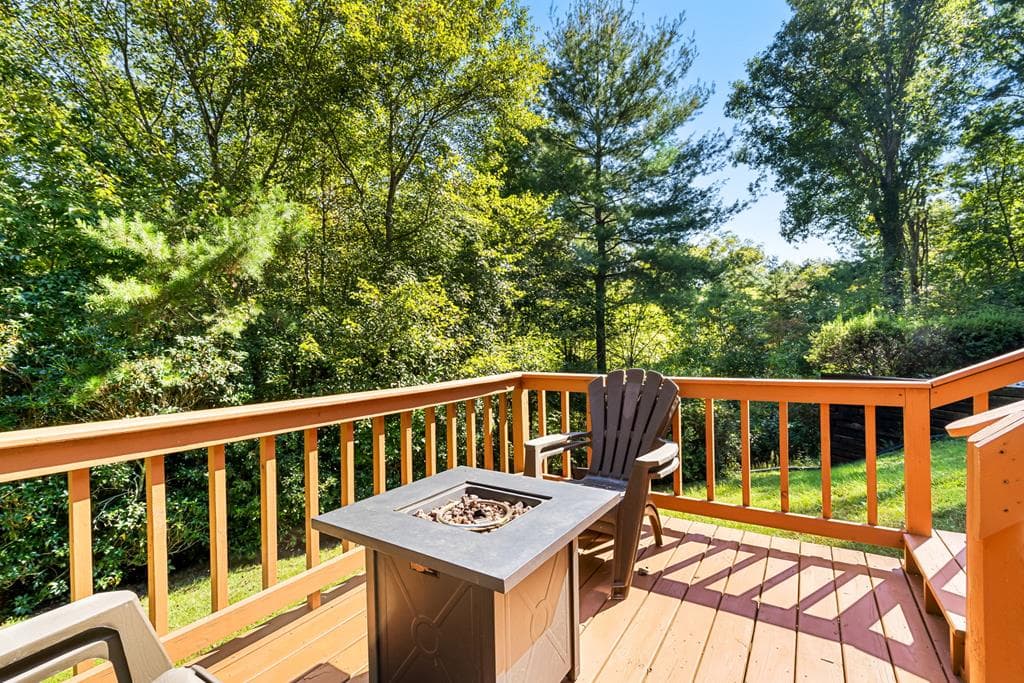 138 Oakwood Trail, Mineral Bluff GA 30559 - Photo