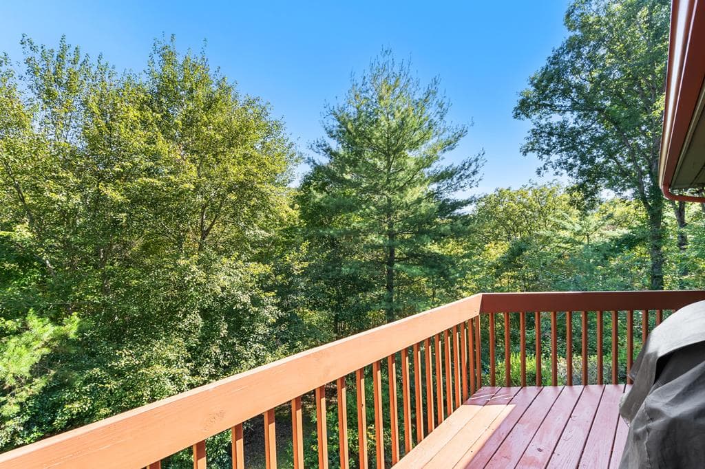 138 Oakwood Trail, Mineral Bluff GA 30559 - Photo