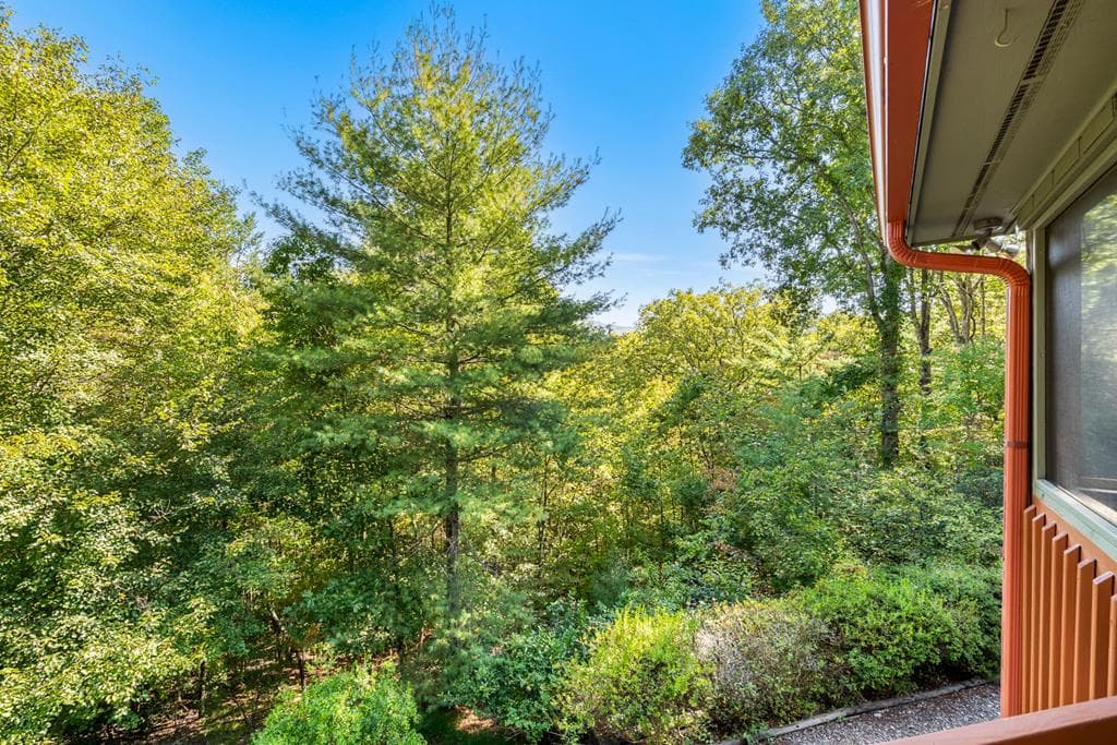 138 Oakwood Trail, Mineral Bluff GA 30559 - Photo