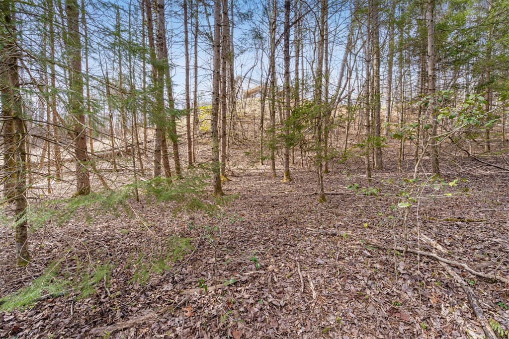 155 Ivy Knob Terrace, Hayesville NC 28904 - Photo