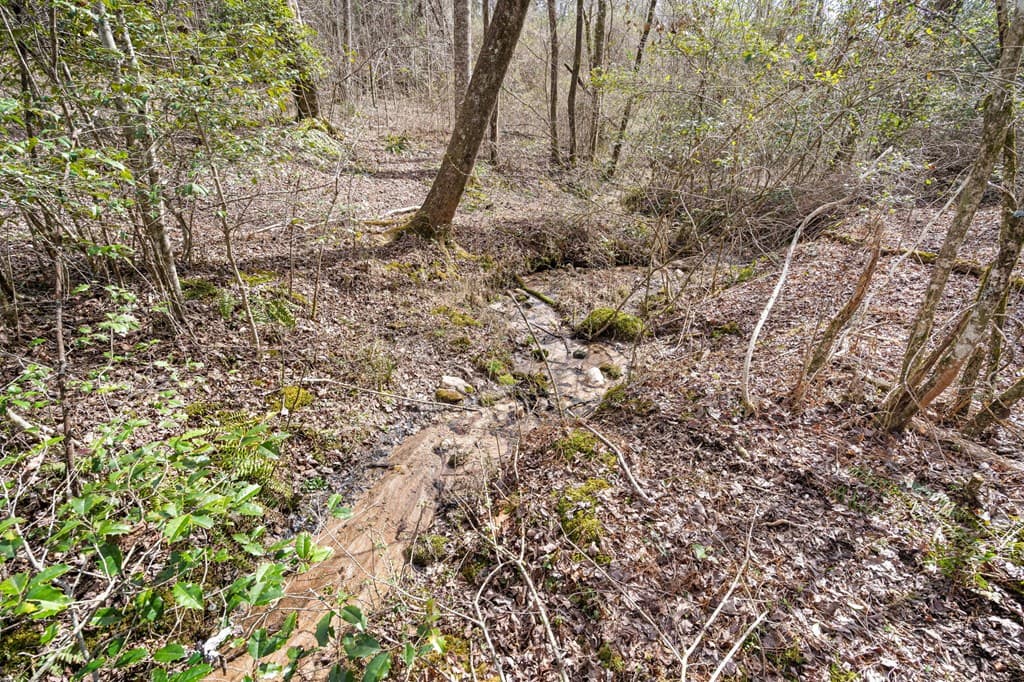 155 Ivy Knob Terrace, Hayesville NC 28904 - Photo