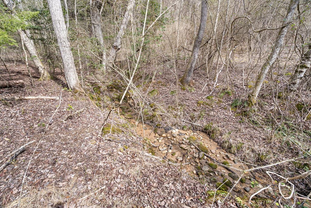 155 Ivy Knob Terrace, Hayesville NC 28904 - Photo