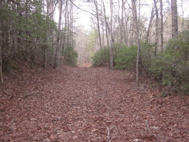 0 Sparks Way, Talking Rock GA 30175 - Photo