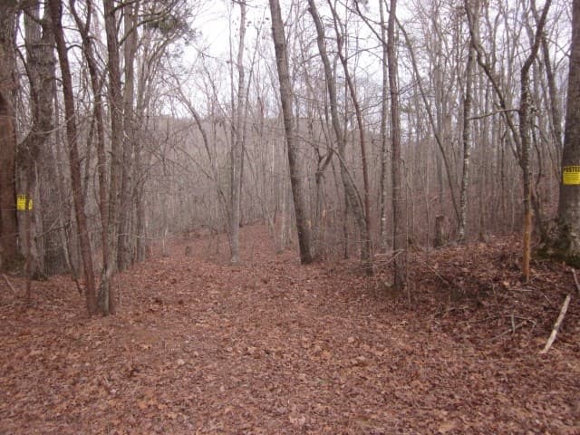 0 Sparks Way, Talking Rock GA 30175 - Photo