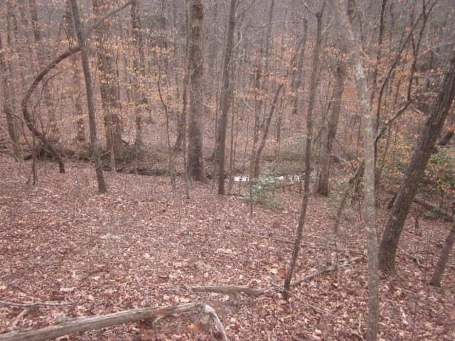 0 Sparks Way, Talking Rock GA 30175 - Photo