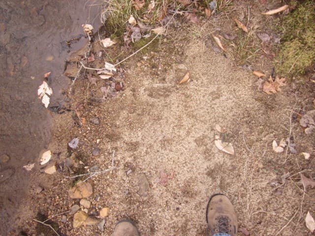 0 Sparks Way, Talking Rock GA 30175 - Photo
