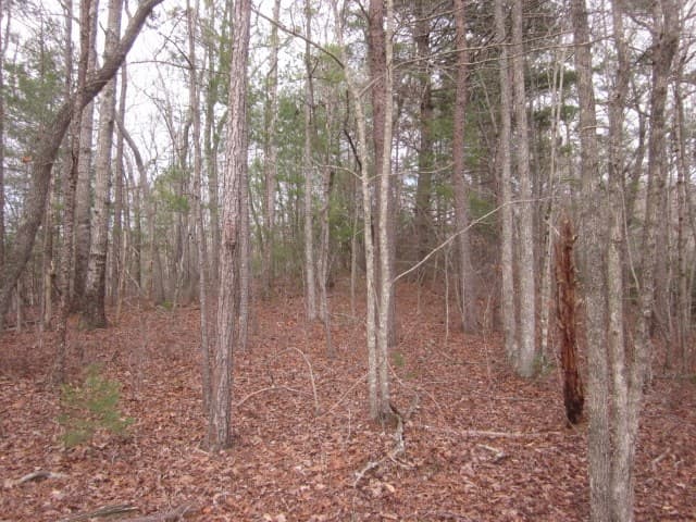0 Sparks Way, Talking Rock GA 30175 - Photo
