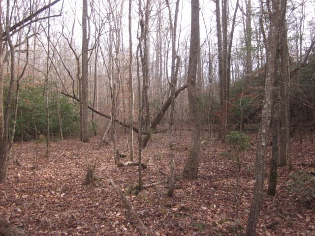 0 Sparks Way, Talking Rock GA 30175 - Photo
