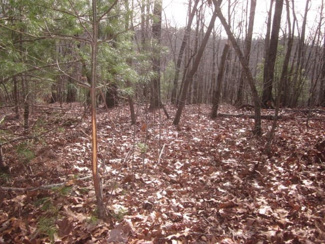 0 Sparks Way, Talking Rock GA 30175 - Photo